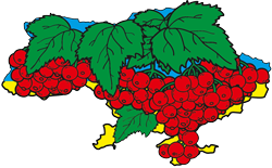 БЛАГОДІЙНА ОРГАНІЗАЦІЯ «УКРАЇНСЬКИЙ БЛАГОДІЙНИЙ ФОНД «КАЛИНА» 